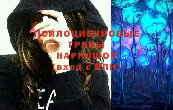 прущий лед Алексин